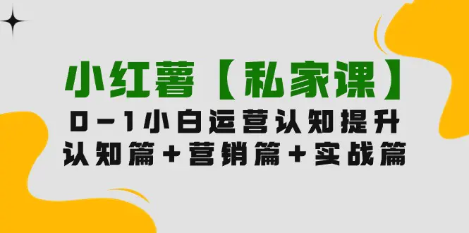 小红薯【私家课】0-1玩赚小红书内容营销，认知篇+营销篇+实战篇-梧桐有术