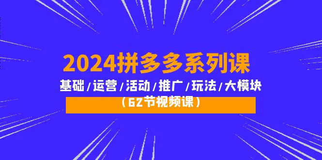 2024拼多多系列课：基础/运营/活动/推广/玩法/大模块-梧桐有术