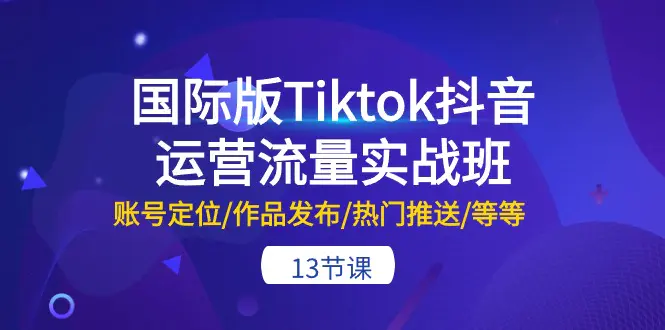 国际版Tiktok抖音运营流量实战班：账号定位/作品发布/热门推送-梧桐有术