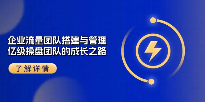 企业 流量团队-搭建与管理，亿级 操盘团队的成长之路（28节课）-梧桐有术