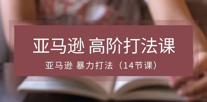 亚马逊 高阶打法课，亚马逊 暴力打法（14节课）-梧桐有术