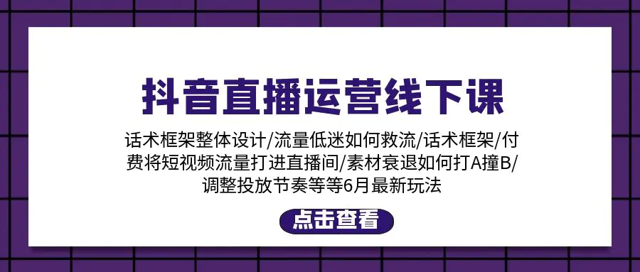 抖音直播运营线下课：话术框架/付费流量直播间/素材A撞B-梧桐有术