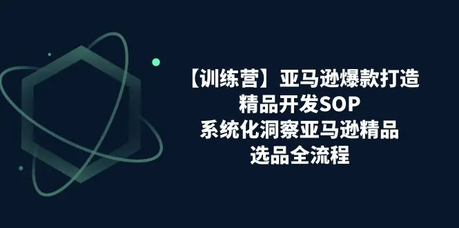 亚马逊爆款打造之精品开发SOP，系统化洞察亚马逊精品选品全流程-梧桐有术