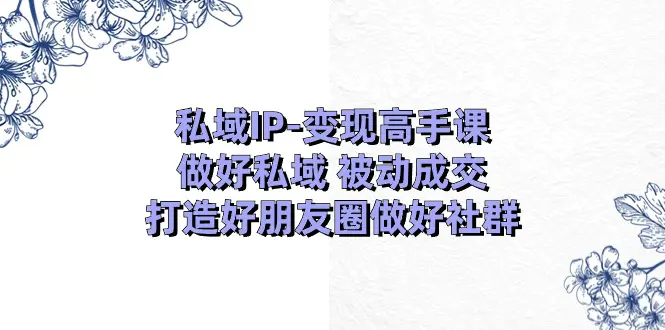 私域IP-变现高手课：做好私域 被动成交，打造好朋友圈做好社群-梧桐有术