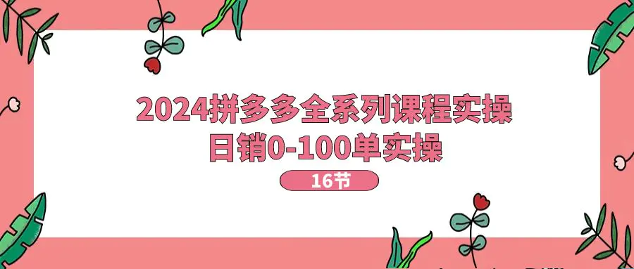 2024拼多多全系列课程实操，日销0-100单实操【16节课】-梧桐有术