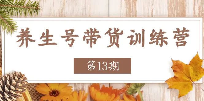 养生号-带货训练营【第13期】收益更稳定的玩法，让你带货收益爆炸-梧桐有术