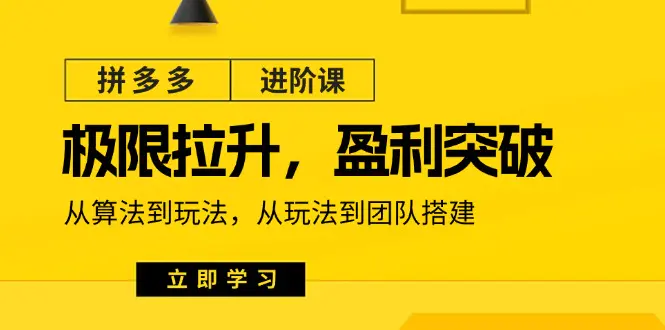 拼多多·进阶课：极限拉升/盈利突破：从算法到玩法 从玩法到团队-梧桐有术