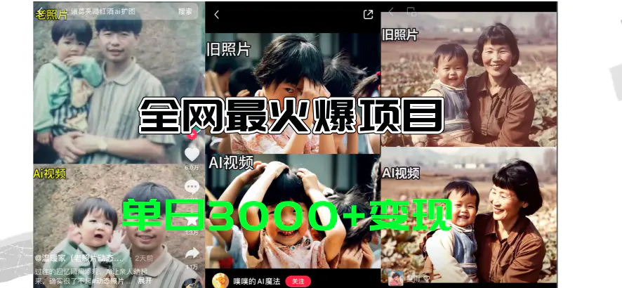 全网爆火的AI让老照片动起来教程，蹭热点日赚3000+，免费工具…-梧桐有术