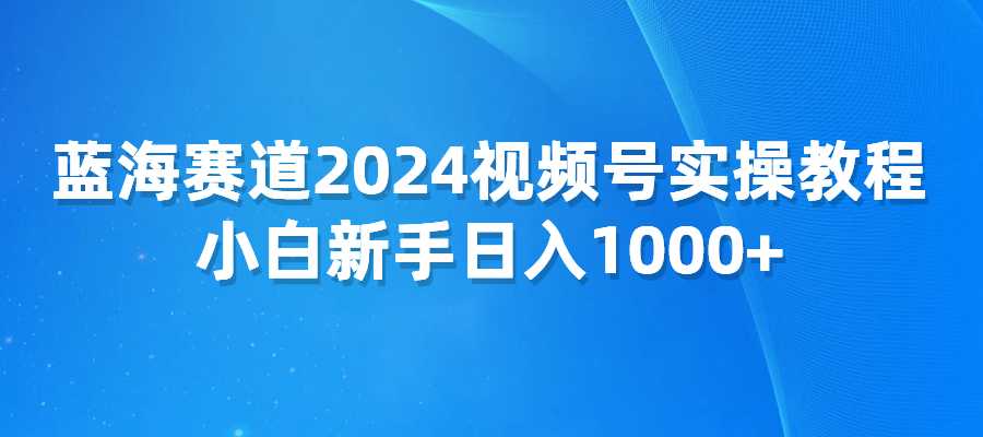 蓝海赛道2024视频号实操教程  小白新手日入1000+-梧桐有术