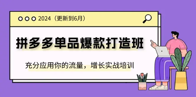 拼多多-单品爆款打造班，充分应用你的流量，增长实战培训-梧桐有术