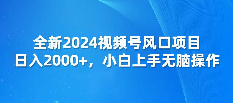 全新2024视频号风口项目，日入2000+，小白上手无脑简单操作-梧桐有术