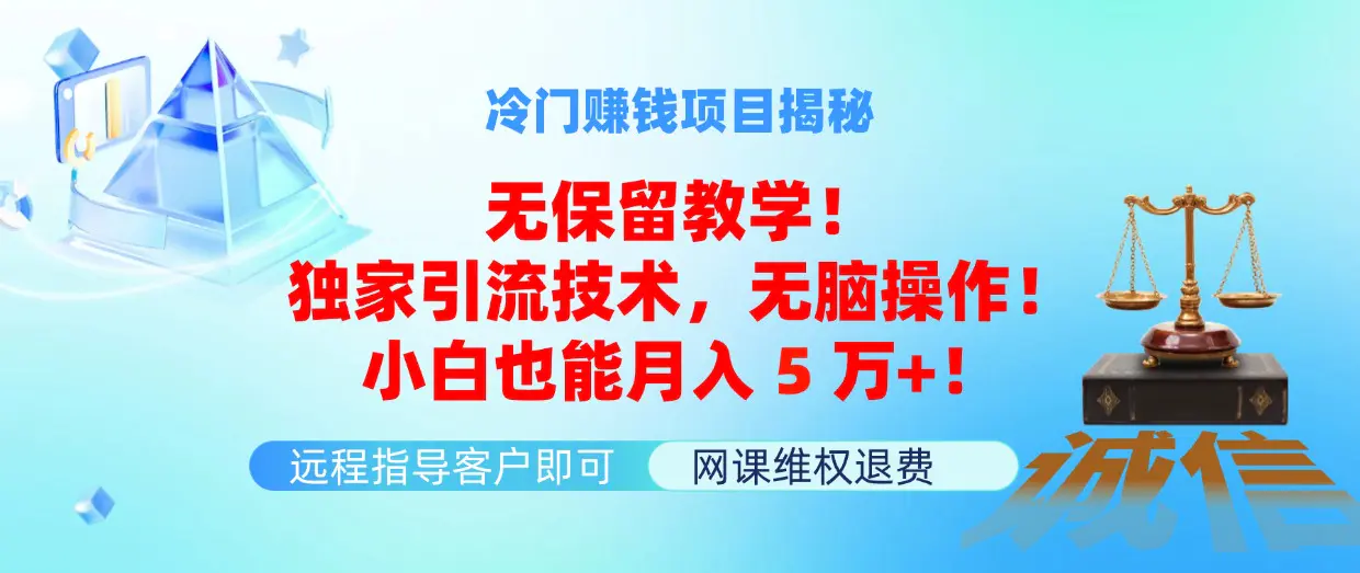 冷门赚钱项目无保留教学！独家引流技术，小白也能月入5万+！-梧桐有术
