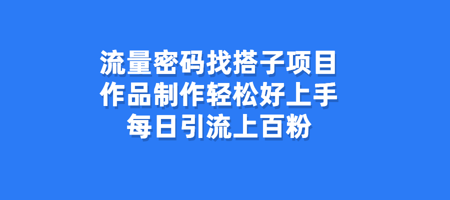 流量密码找搭子项目，作品制作轻松好上手，每日引流上百粉-梧桐有术