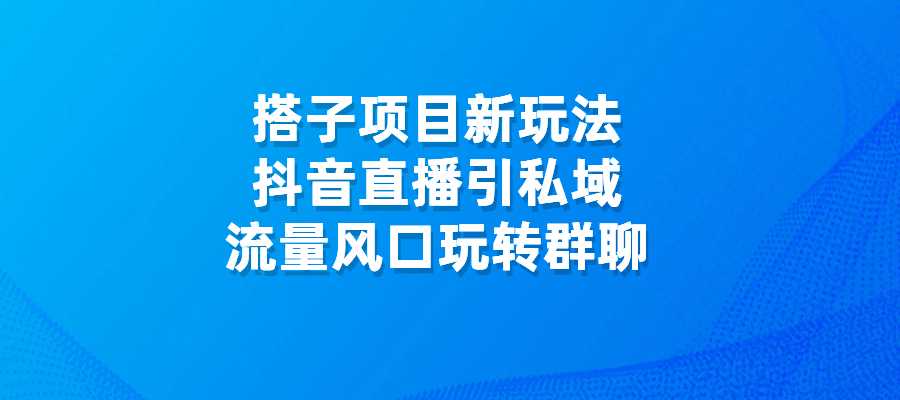 搭子项目新玩法，抖音直播引私域，流量风口玩转群聊-梧桐有术