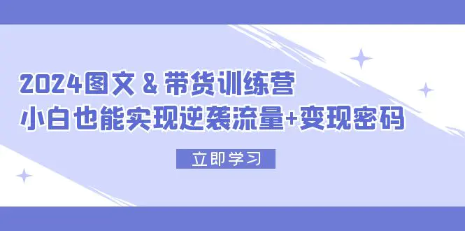 2024 图文+带货训练营，小白也能实现逆袭流量+变现密码-梧桐有术
