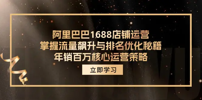 阿里巴巴1688店铺运营，掌握流量飙升与排名优化秘籍 核心运营策略-梧桐有术