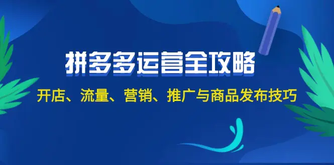 2024拼多多运营全攻略：开店、流量、营销、推广与商品发布技巧-梧桐有术