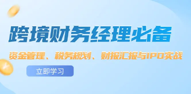 跨境 财务经理必备：资金管理、税务规划、财报汇报与IPO实战-梧桐有术