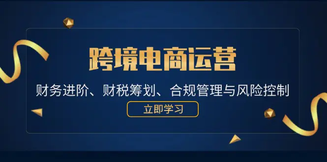跨境电商运营：财务进阶、财税筹划、合规管理与风险控制-梧桐有术