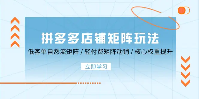 拼多多店铺矩阵玩法：低客单自然流矩阵 / 轻付费矩阵 动销-梧桐有术