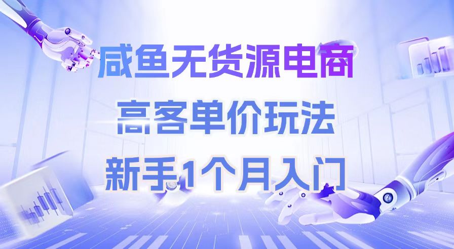 咸鱼无货源电商，高客单价玩法，新手1个月入门-梧桐有术