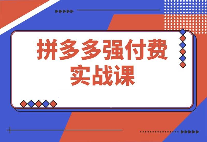 拼多多强付费实战课，高利润产品项目经验，低利润微付费阶段操作-梧桐有术